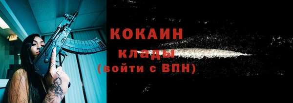 PSILOCYBIN Абаза