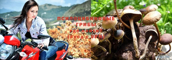 дурь Абинск