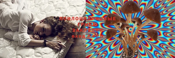 PSILOCYBIN Абаза