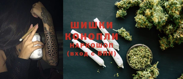 PSILOCYBIN Абаза