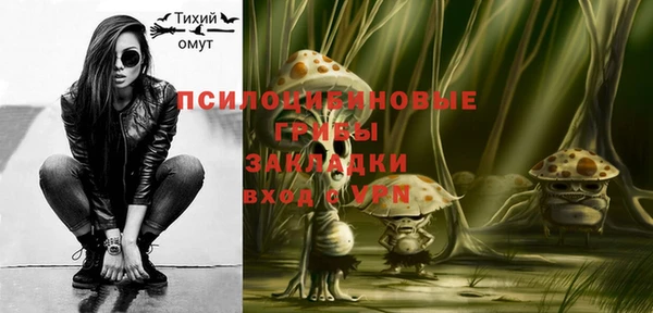 Альфа ПВП Осинники